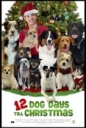 12.Dog.Days.of.Christmas.2014.PROPER.1080p.WEBRip.x265-R4RBG[TGx]