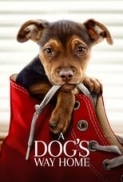 A Dogs Way Home (2019) 720p HC HDRip x264 AAC - Downloadhub