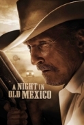 A Night in Old Mexico 2013 480p BRRip XviD-MM