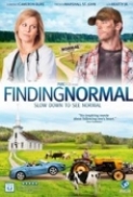 Finding Normal (2013) 720p WEBRip X264 Solar