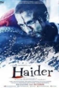 Haider (2014) Hindi 720p BRRip x264 AC3 5.1 [Team DRSD]