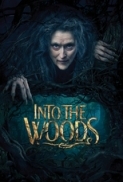 Into.the.Woods.2014.DVDSCR.X264-PLAYNOW