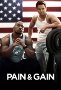 Pain and Gain 2013 480p BRRip XviD AC3-PTpOWeR