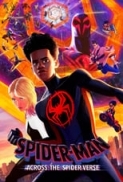 Spider-Man.Across.The.Spider-Verse.2023.1080p.10bit.UHD.WEB-Rip.DV.HDR.HEVC.DDPA.5.1-NmCT.mkv