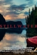 Stillwater.2018.1080p.WEB-DL.DD5.1.H264-FGT[TGx] ⭐