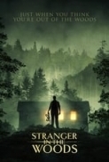 STRANGER IN THE WOODS 2024 1080P WEB-DL HEVC X265 - NoGrp