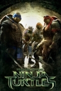 Teenage Mutant Ninja Turtles 2014 720p BRRip x264 MP4 AAC-CC