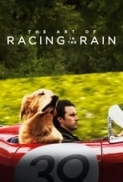 The.Art.of.Racing.in.the.Rain.2019.MULTi.Bly-ray.1080p.DTS-HDMA.7.1.HEVC-DDR[EtHD]