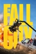 The.Fall.Guy.2024.WebRip.1080p.x264.[Hindi.English].DD5.1.ESub