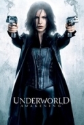 Underworld. Awakening (2012) R5 (xvid) NL Subs. DMT