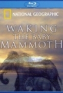 Waking.The.Baby.Mammoth.2009.720p.BluRay.DTS.x264-DON [PublicHD]