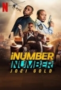 iNumber.Number.l.oro.di.Johannesburg.2023.WEB-DL.1080p.E-AC3.AC3.ITA.ENG.SUB-LFi.mkv