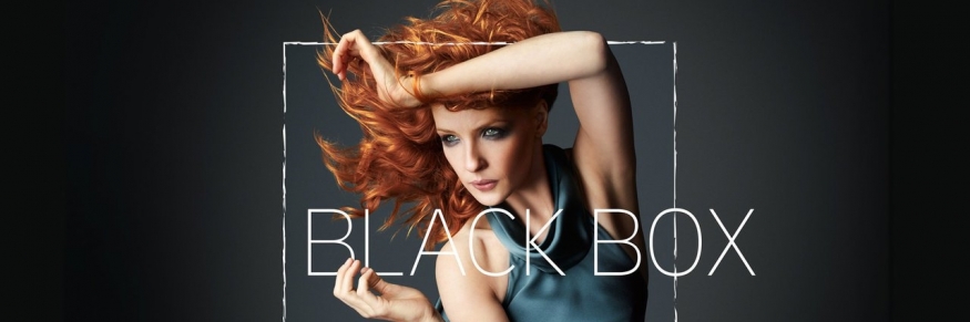 Black Box S01E10 480p HDTV x264-mSD 